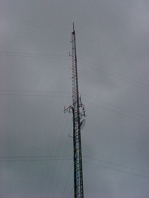 W5FQ Antenna