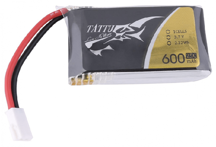 600 mAh LiPo battery